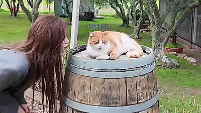 Ive's Liz enjoys relaxing getaway on New Zealand's Waiheke Island