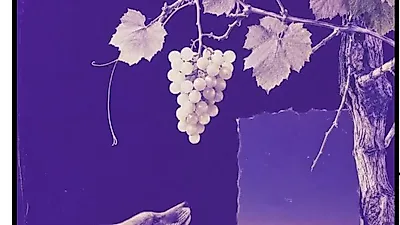 Miji releases official audio for 'Sour Grapes'