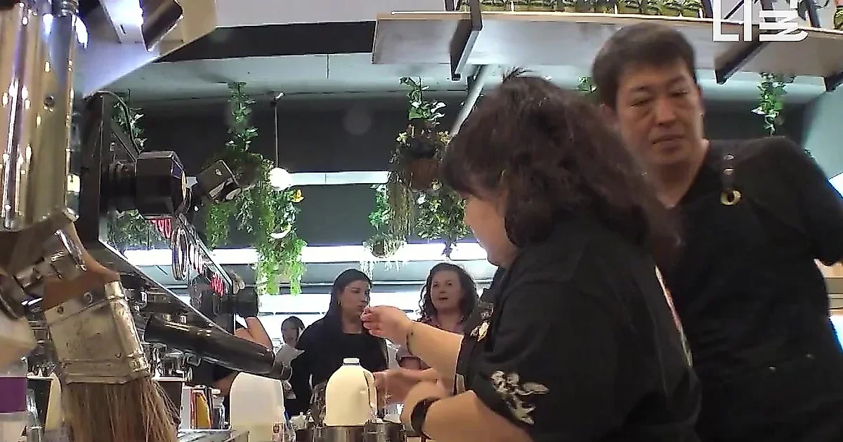 裴正楠现身悉尼咖啡店打工，偶遇阔别10年的旧识