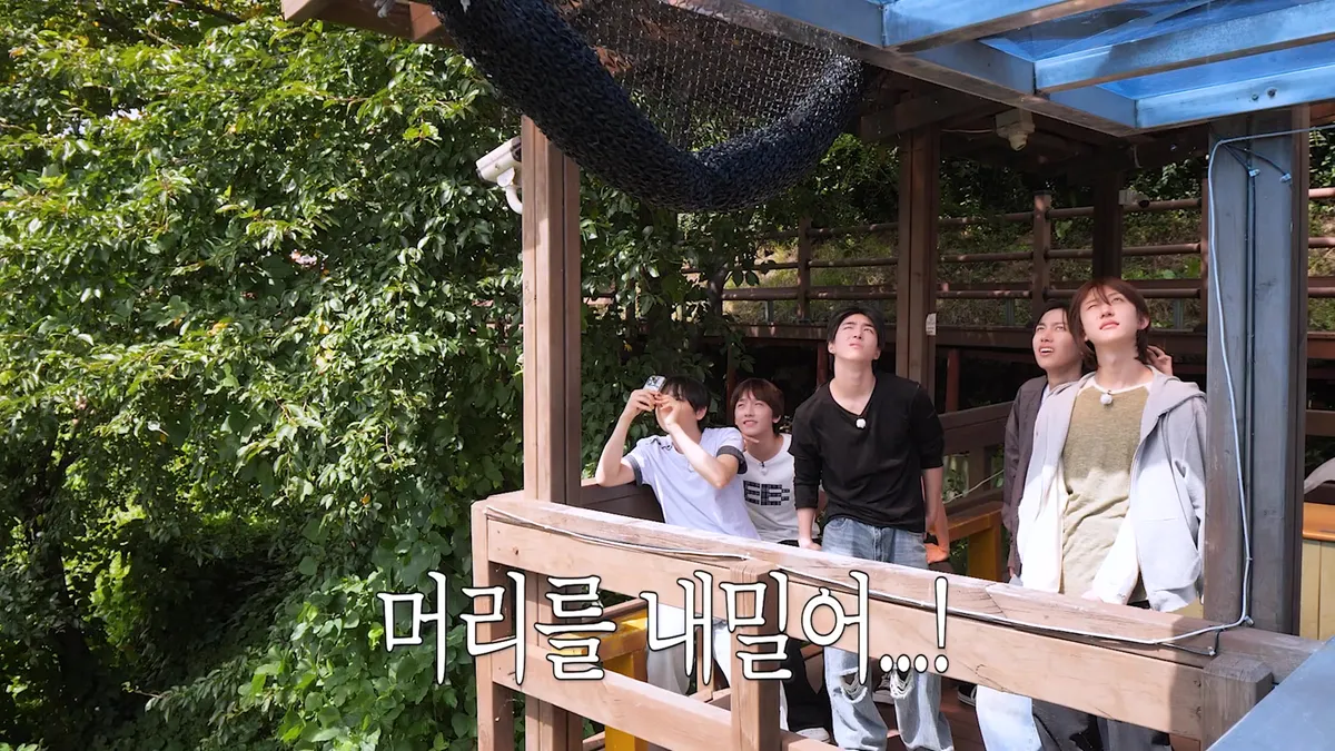 IDID members looking up at the sky