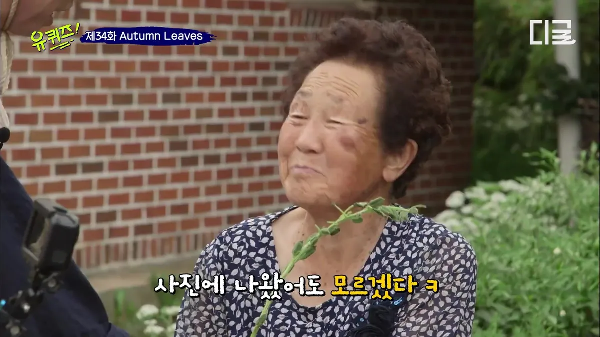 "I am sorry for being your parent"... A tearful confession from a grandmother in the mountains of Yeongju